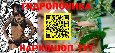 гидра Тверь